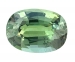 Natural Alexandrite Oval 1.85 cts