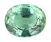 Natural Alexandrite Oval 7.46 cts